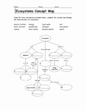 Cell Concept Map Worksheet Answers Best Of Ecosystem Concept Map 6th 9th Grade Worksheet