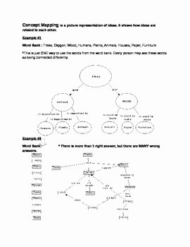 Cell Concept Map Worksheet Answers Elegant Concept Mapping and Cell Division by Biolessons101