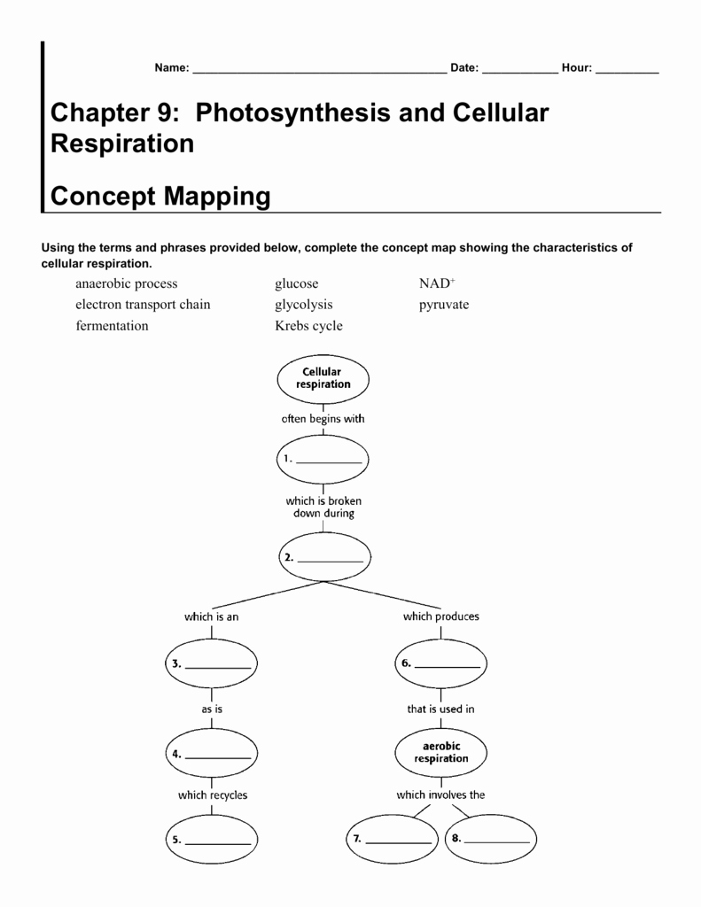 Cell Concept Map Worksheet Answers Elegant Synthesis Concept Map Worksheet Answers