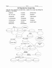 Cell Concept Map Worksheet Answers Luxury Cell Reproduction Concept Map 4th 12th Grade Worksheet