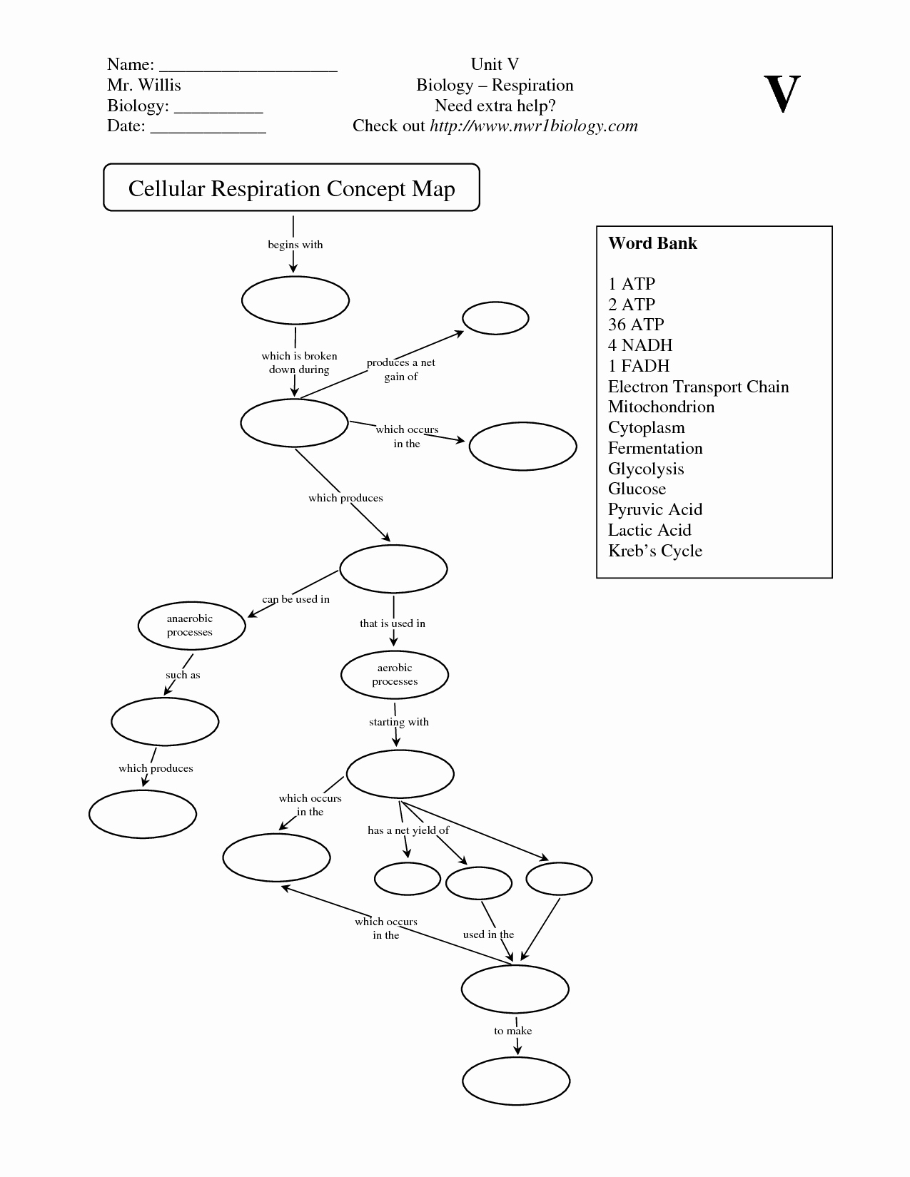 Cell Concept Map Worksheet Answers Unique 14 Best Of Macromolecules Concept Map Worksheet