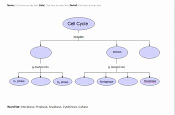 Cell Concept Map Worksheet Answers Unique Cell Cycle Concept Maps Electronically Fillable