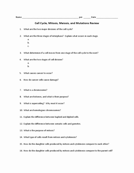 Cell Cycle and Mitosis Worksheet Unique Cell Cycle Mitosis Meiosis and Mutations Review