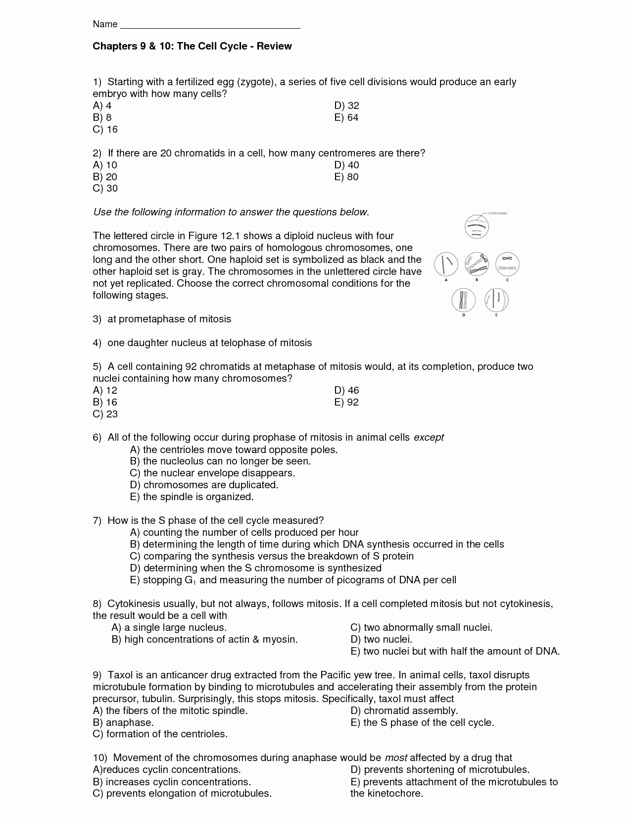 Cell Cycle Worksheet Answer Key Awesome 16 Best Of the 12 Cell Review Worksheet Answers