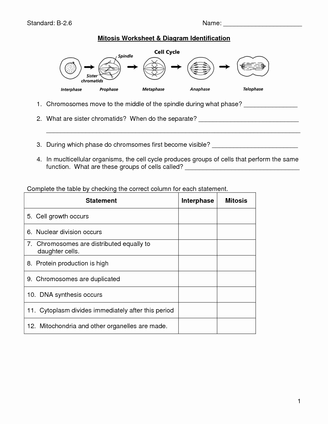 Cell Cycle Worksheet Answer Key Best Of 16 Best Of Steps Meiosis Worksheet Answers