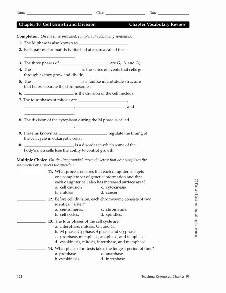 Cell Cycle Worksheet Answer Key Best Of Worksheet Cell Cycle Regulation Worksheet Grass Fedjp