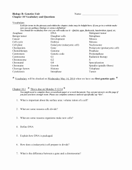 Cell Division Worksheet Answers Fresh Cell Division Worksheet Answer Key