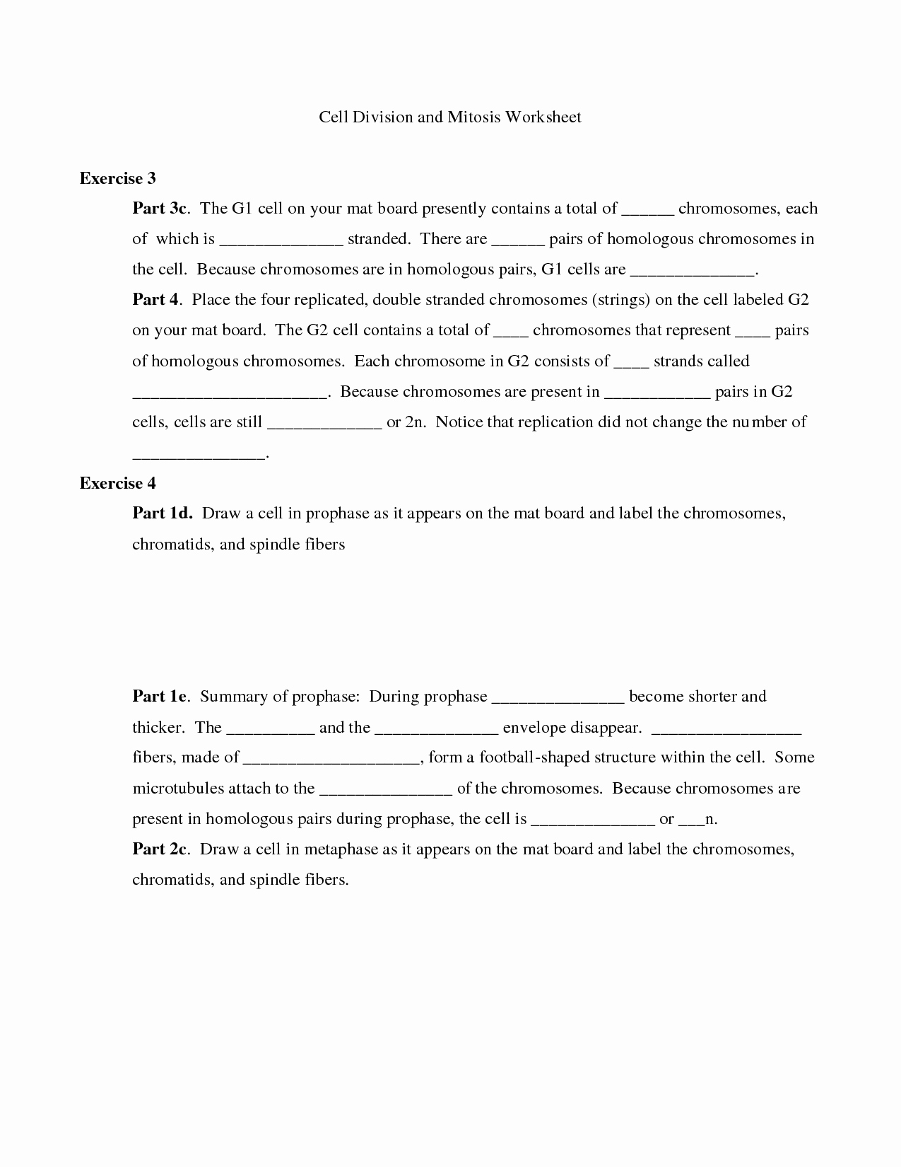 Cell Division Worksheet Answers Lovely 18 Best Of Cell Cycle Review Worksheet Answers
