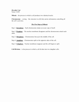 Cell Division Worksheet Answers Lovely Cell Division Worksheet Answer Key