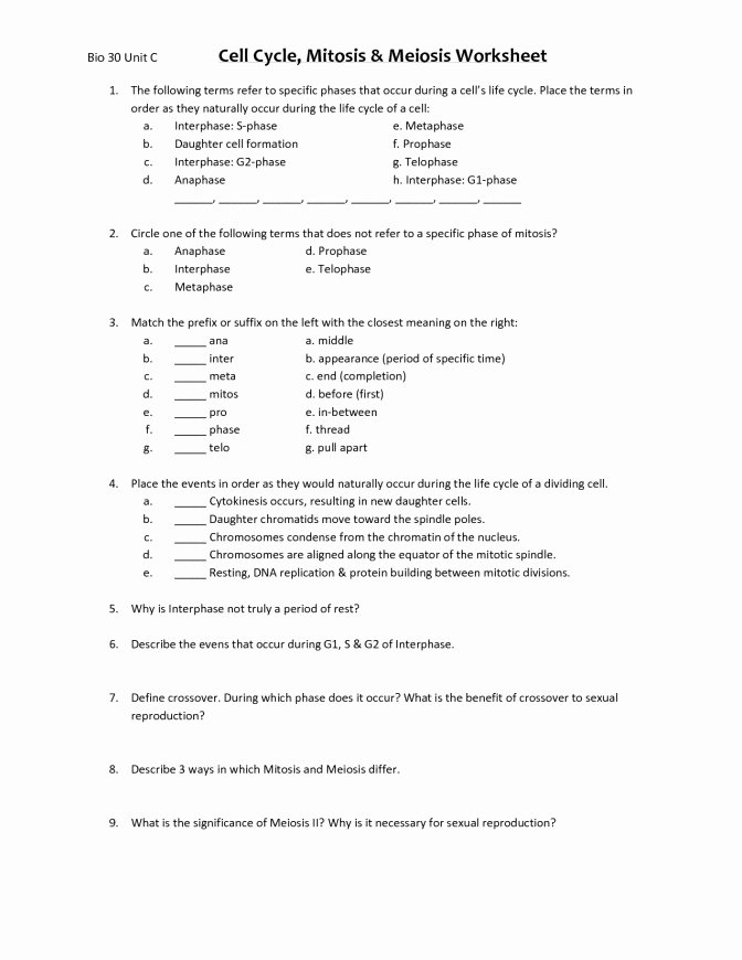 Cell Division Worksheet Answers Unique Cell Cycle and Mitosis Worksheet Answers