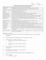 Cell Membrane and tonicity Worksheet Awesome Cell Transport Review Key 3 Cellular Transport Review