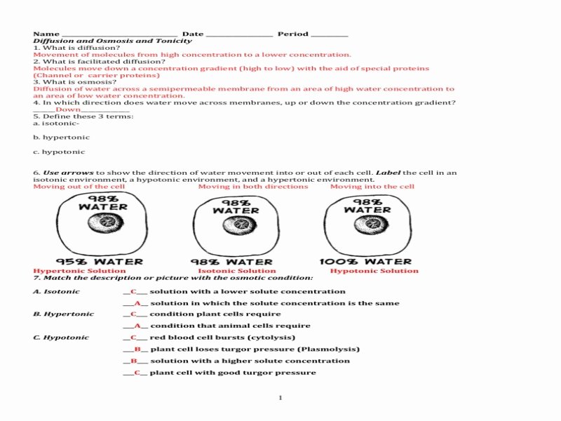 Cell Membrane and tonicity Worksheet Beautiful Cell Membrane and tonicity Worksheet Answers the Best