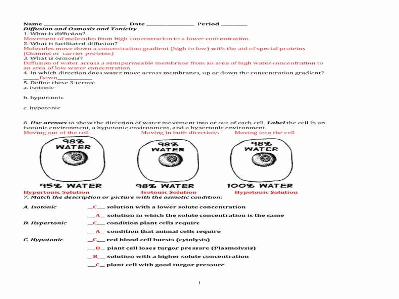 Cell Membrane and tonicity Worksheet Best Of Cell Membrane and tonicity Worksheet