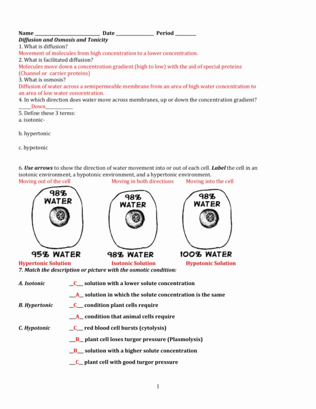 Cell Membrane and tonicity Worksheet Best Of Osmosis and tonicity Worksheet Answers