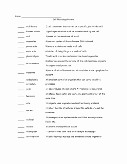 Cell Membrane and tonicity Worksheet Luxury Osmosis and tonicity Worksheet