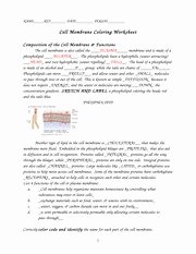Cell Membrane Coloring Worksheet Answers Luxury Cell Membrane Coloring Worksheet Name Date Period Cell