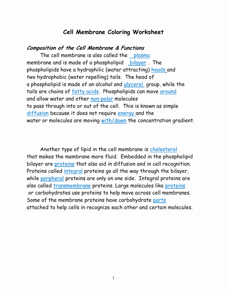 Cell Membrane Coloring Worksheet Awesome Cell Membrane Answer Key