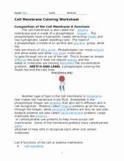 Cell Membrane Coloring Worksheet Lovely Cell Membrane Coloring Worksheet Name Key Date Period