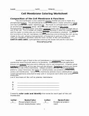 Cell Membrane Coloring Worksheet Luxury Cell Membrane Coloring Worksheet Key Name Key Date
