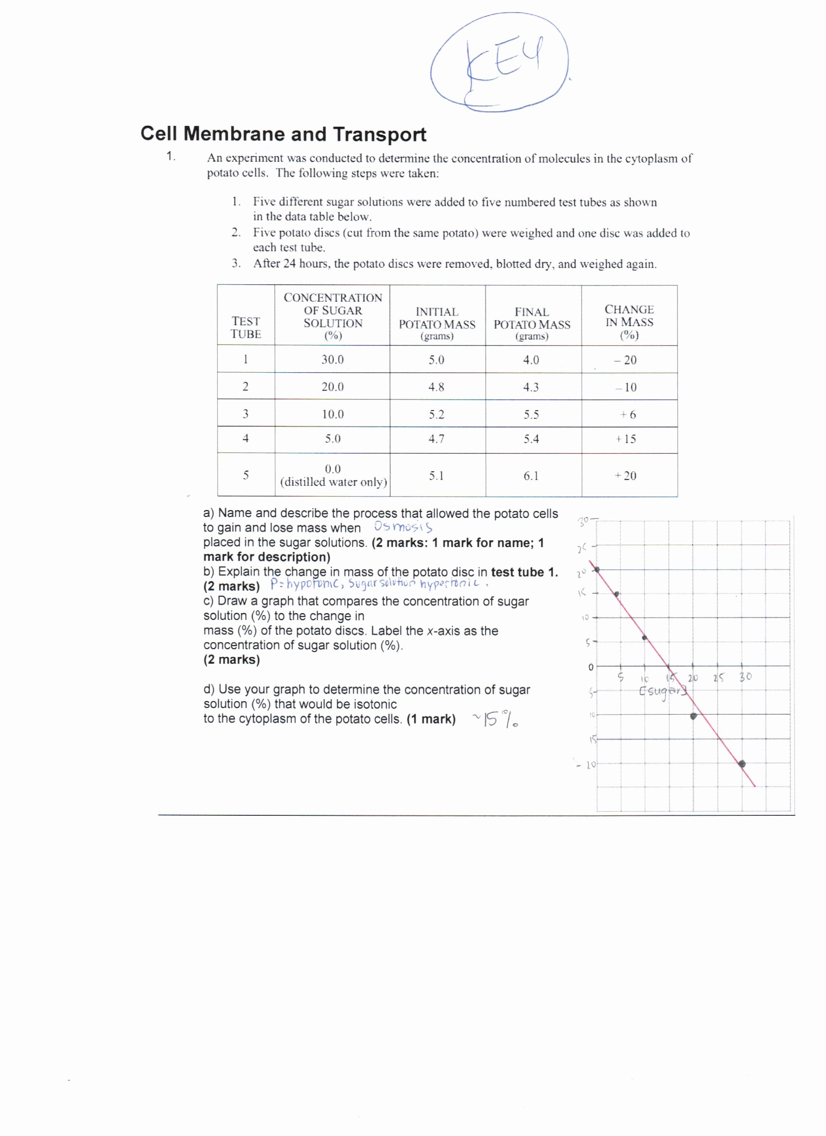 Cell Membrane Images Worksheet Answers Beautiful Answer Keys Cell Membrane Worksheets
