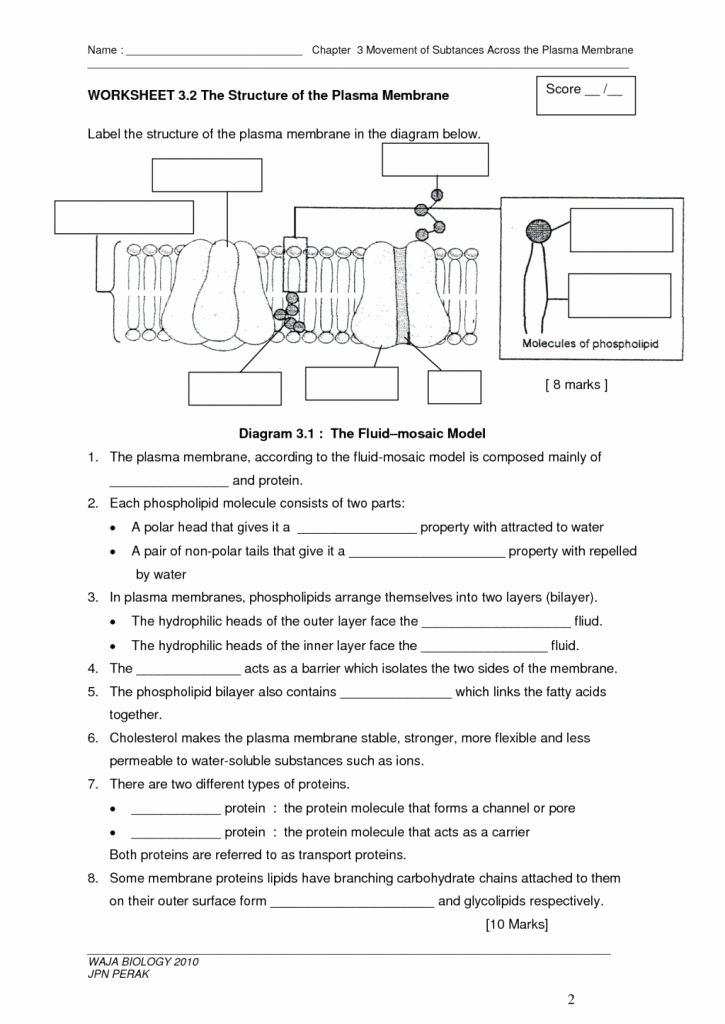 Cell Membrane Images Worksheet Answers Elegant Amazing Cell Membrane Worksheet Google Search Movement