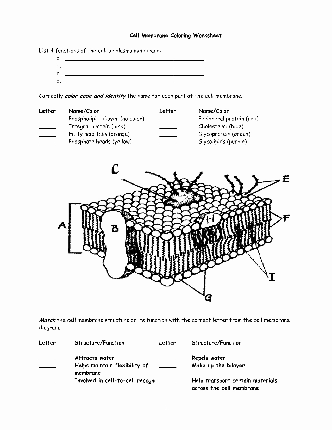 Cell Membrane Images Worksheet Answers Luxury 10 Best Of Cell Membrane Diagram Worksheet Cell