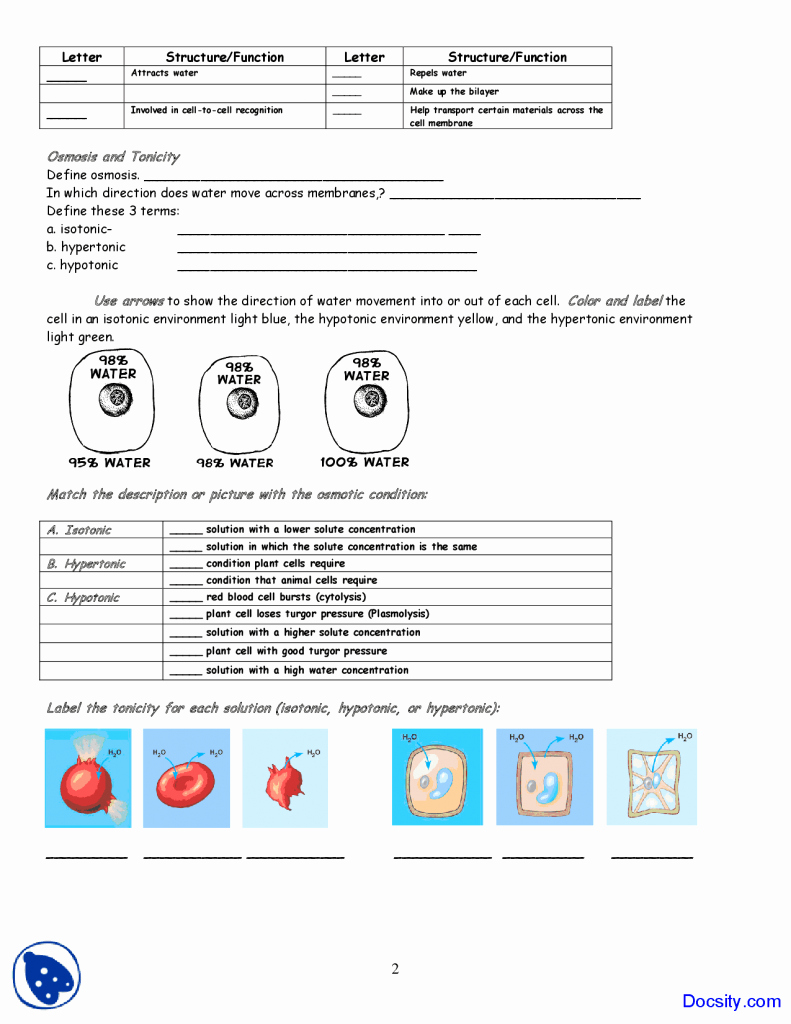 Cell Membrane Images Worksheet Answers New Cell Membrane Worksheet Answers Coloring Application