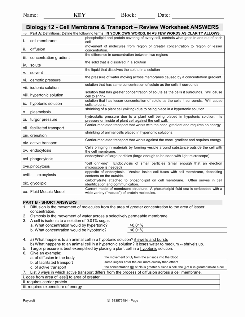 Cell Membrane Worksheet Answers Beautiful Biology 12 Cell Membrane &amp; Transport – Review Worksheet