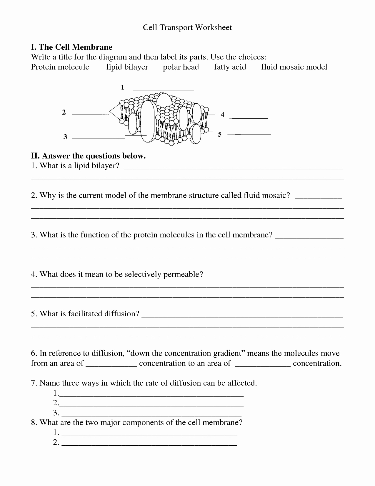 Cell Membrane Worksheet Answers Inspirational 12 Best Of Lipid Worksheet Answers Cell Membrane