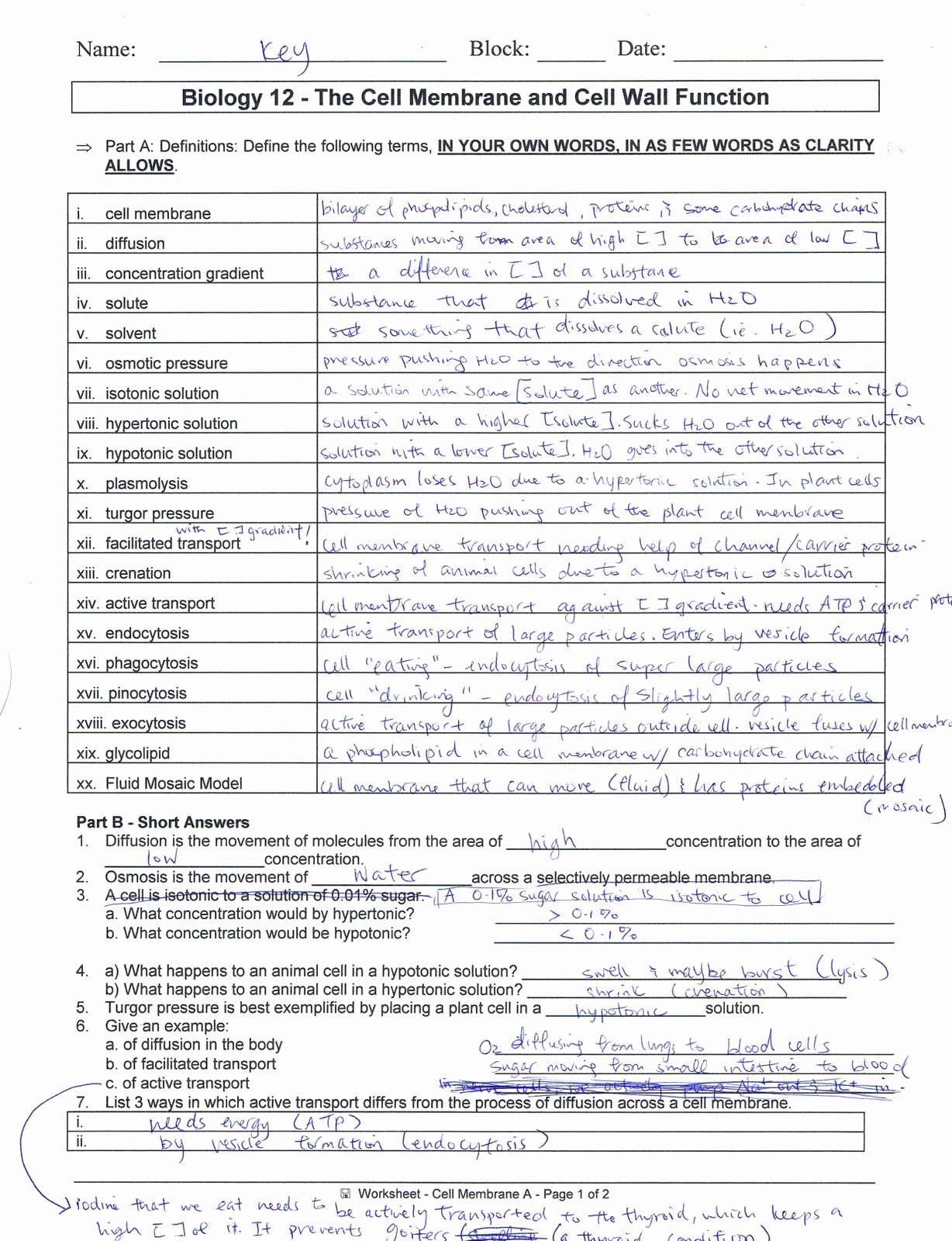 Cell Membrane Worksheet Answers Inspirational 55 Transport In Cells Worksheet 15 Best Active