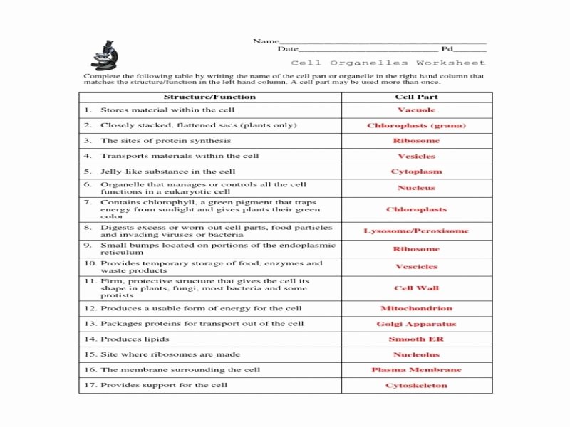 Kinematics Worksheet 1