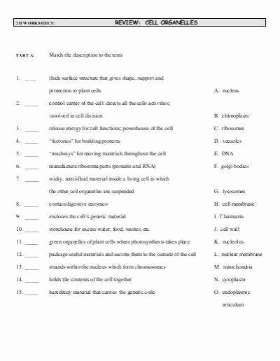 Cell organelles Worksheet Answer Key Awesome Cell organelles Worksheet Answers