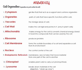 Cell organelles Worksheet Answer Key Beautiful Cell organelle Quiz with Word Bank &amp; Answer Key by Woodard
