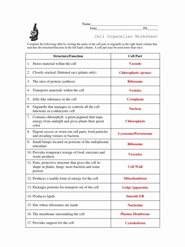 Cell organelles Worksheet Answer Key Beautiful Cell organelles Worksheet Answer Key