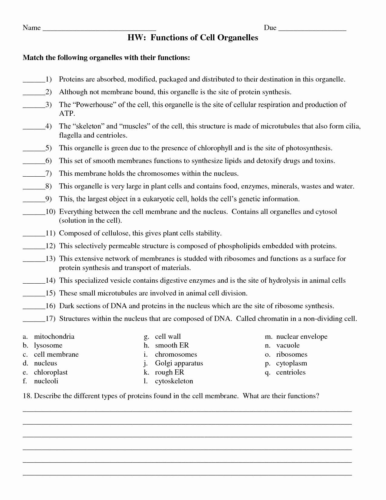 Cell organelles Worksheet Answer Key Best Of 13 Best Of Function organelles Worksheet Cell