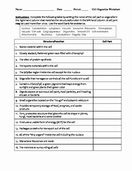 Cell organelles Worksheet Answer Key Inspirational Middle School Biology Worksheet Cell organelles by
