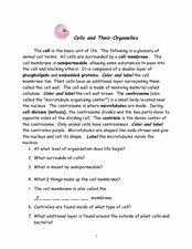 Cell organelles Worksheet Answers Awesome Cells and their organelles 6th 12th Grade Worksheet