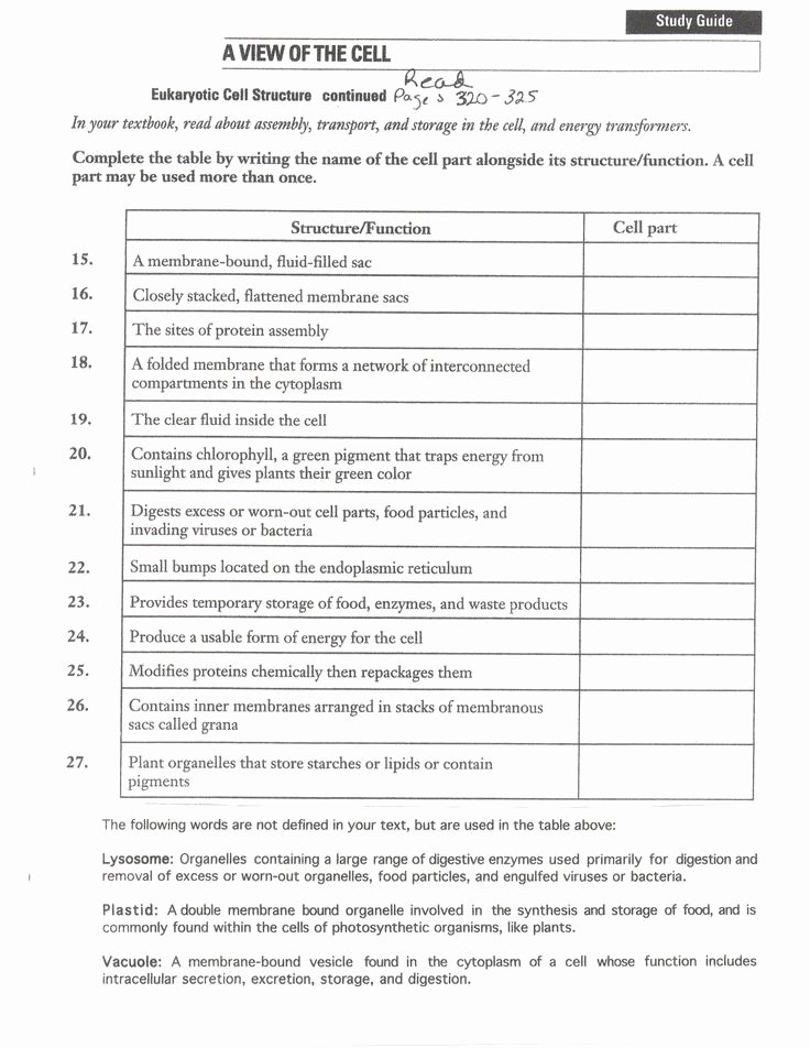 Cell organelles Worksheet Answers Best Of Animal Cell Worksheet Answer Key Of Cut and Paste Google