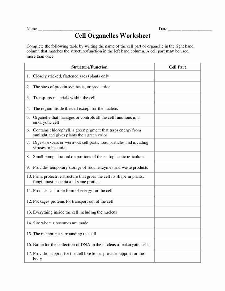 Cell organelles Worksheet Answers Best Of Paring Plant and Animal Cells