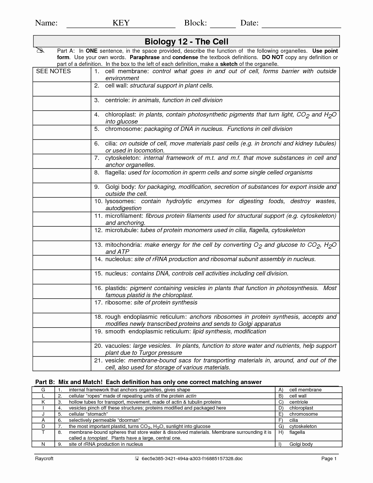 Cell organelles Worksheet Answers Inspirational 14 Best Of Cell Structure and Function Worksheet