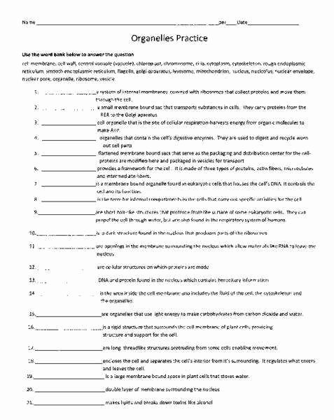 Cell organelles Worksheet Answers Inspirational Cell organelle Worksheet