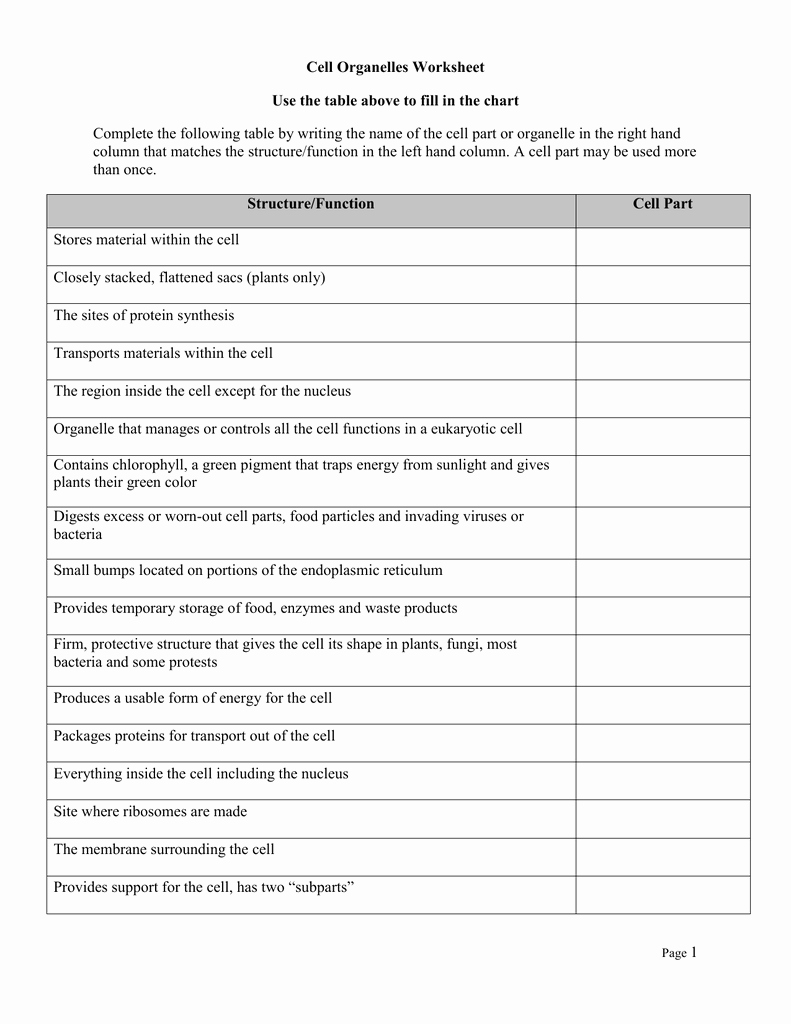 Cell organelles Worksheet Answers Lovely Cell organelle Research Worksheet Answers
