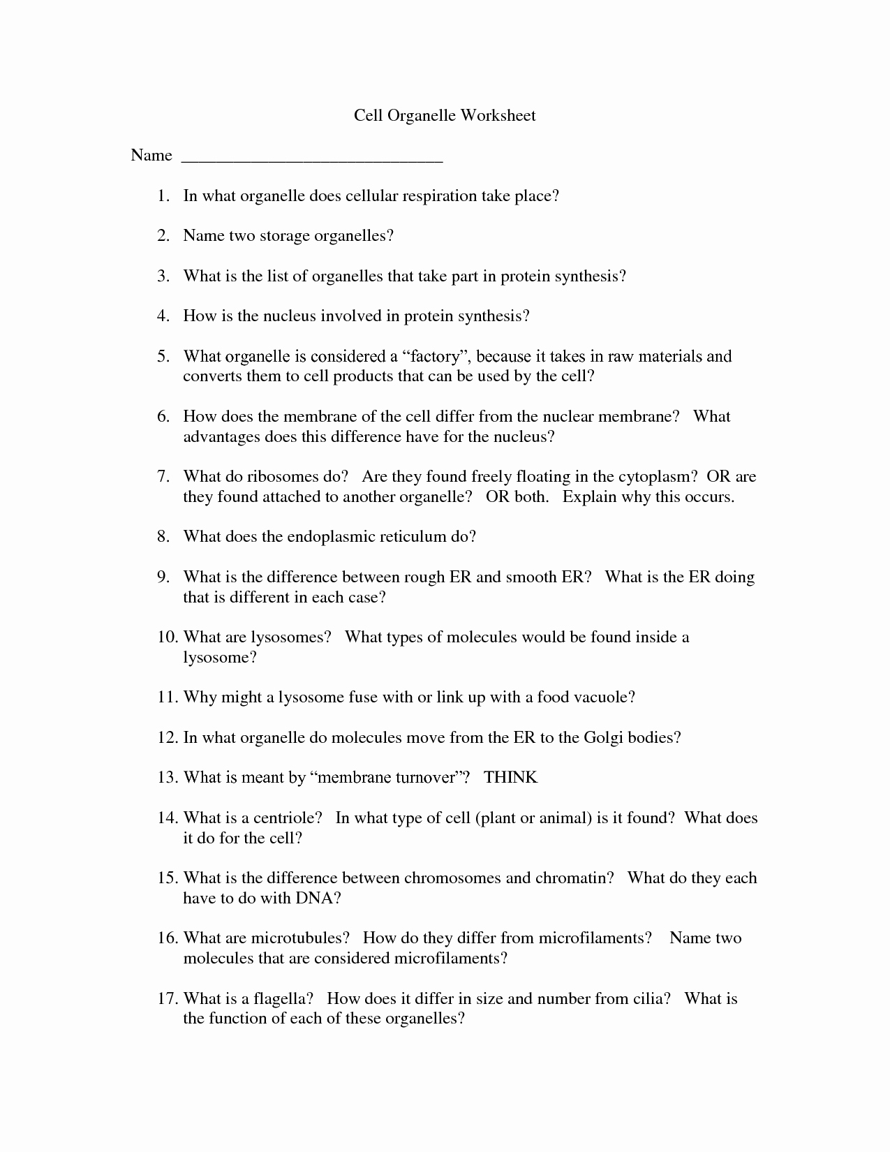 Cell organelles Worksheet Answers Luxury 16 Best Of Cells and their organelles Worksheet