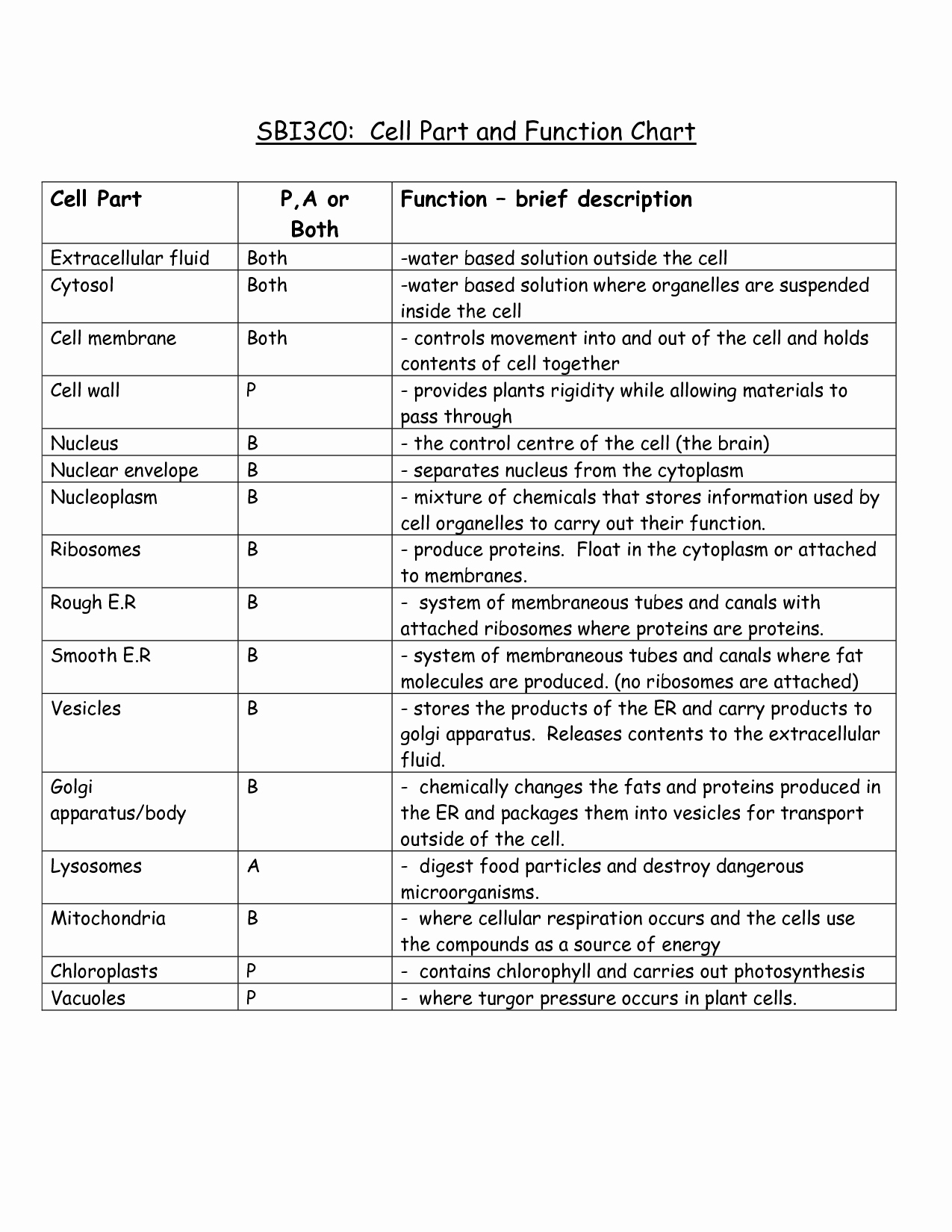 Cell organelles Worksheet Answers New 13 Best Of Parts A Plant Cell Worksheet Plant