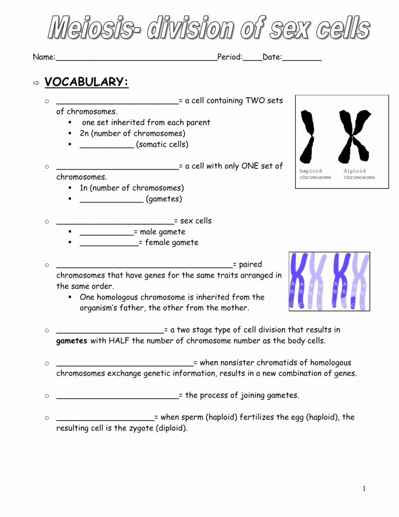 Cell Reproduction Worksheet Answers Awesome Worksheet Meiosis Vocabulary Worksheet Grass Fedjp