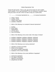 Cell Reproduction Worksheet Answers Beautiful Mitosis Worksheet