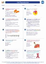 Cell Reproduction Worksheet Answers Elegant Cell Reproduction High School Biology Worksheets and