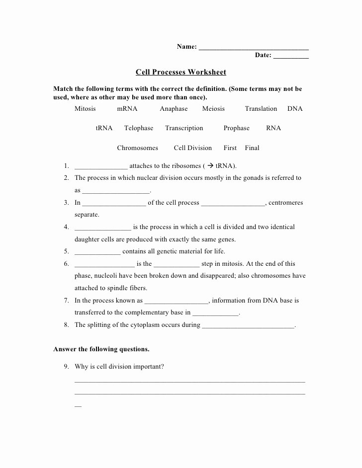 Cell Reproduction Worksheet Answers Fresh Cell Reproduction Mitosis and Meiosis Worksheet