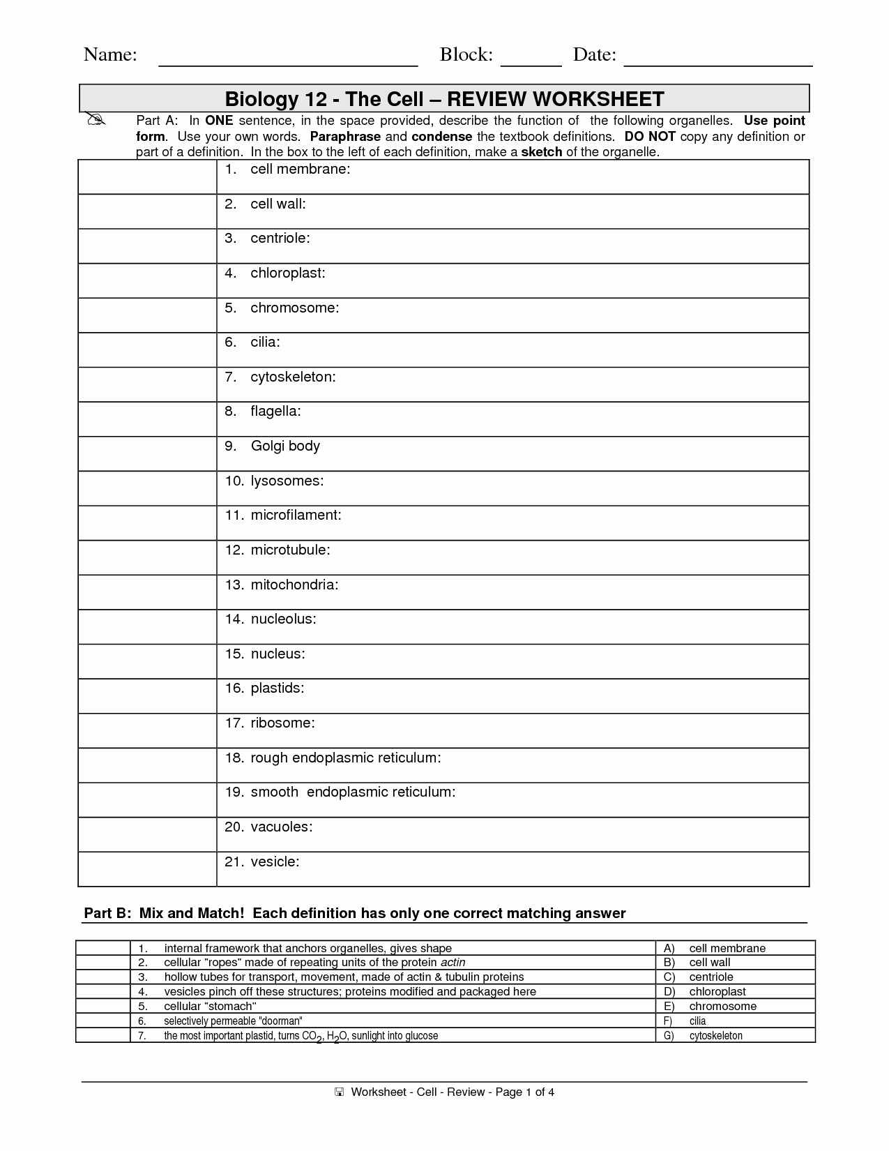 Cell Reproduction Worksheet Answers Luxury 16 Best Of the 12 Cell Review Worksheet Answers