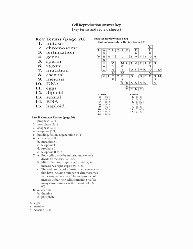 Cell Reproduction Worksheet Answers Luxury Worksheet Cell Reproduction Worksheet Grass Fedjp